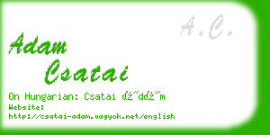 adam csatai business card